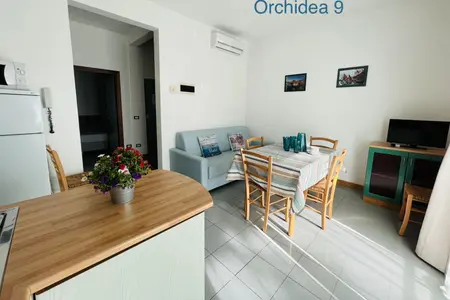 Orchidea 9