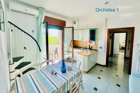 Orchidea 1